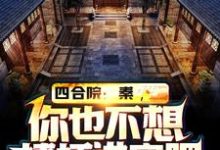 已完结小说《四合院:秦,你也不想棒梗进牢吧》章节在线阅读-够力荐小说推荐网