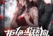 小说《神豪：拒绝当舔狗，我要做渣男》章节阅读-够力荐小说推荐网