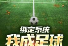 绑定系统：我成足球小飞人安迪，绑定系统：我成足球小飞人小说免费阅读-够力荐小说推荐网