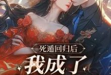 死遁回归后,我成了真爱白月光小说的无弹窗阅读体验,寻找免费阅读网站-够力荐小说推荐网