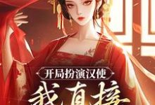 陆远小说完结版在线阅读,开局扮演汉使,我直接收揽后宫免费看-够力荐小说推荐网