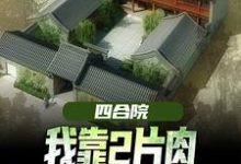 四合院：我靠2片肉俘获秦淮茹芳心免费阅读，四合院：我靠2片肉俘获秦淮茹芳心王建安秦淮茹-够力荐小说推荐网