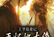 王爷追妻记：王妃她太绝，藏不住啦这本小说在哪里可以看？哪里有免费试读章节？-够力荐小说推荐网