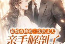 顾南城江黎小说《新婚夜惨死,法医丈夫亲手解剖了我的尸体》在线阅读-够力荐小说推荐网