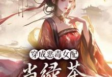 小说《穿成恶毒女配,当绿茶这么有趣?》章节免费阅读-够力荐小说推荐网