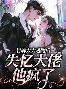 盛扬向苒小说完结版在线阅读，冒牌太太逃跑后，失忆大佬他疯了免费看