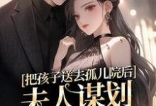 把孩子送去孤儿院后,夫人谋划总裁家产小说的无弹窗阅读体验,寻找免费阅读网站-够力荐小说推荐网