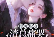 假死脱身,渣总痛哭流涕求我归家苏黎傅念琛小说完结版章节在线阅读-够力荐小说推荐网