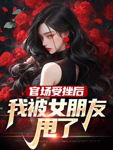 小说《官场受挫后，我被女朋友甩了》在线章节阅读