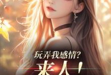 玩弄我感情？来人！给我往死虐小说有没有完结版在线？-够力荐小说推荐网