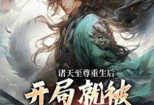 诸天至尊重生后，开局就被频频挑衅小说的免费电子版在哪里可以下载或阅读？-够力荐小说推荐网