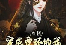 红楼:穿成贾环的我成了贾府顶梁柱贾环,红楼:穿成贾环的我成了贾府顶梁柱小说免费阅读-够力荐小说推荐网