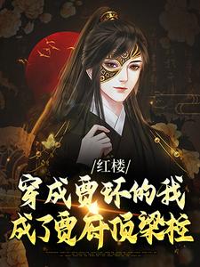 红楼：穿成贾环的我成了贾府顶梁柱贾环，红楼：穿成贾环的我成了贾府顶梁柱小说免费阅读