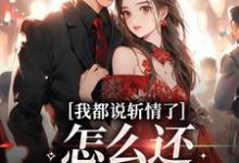 《我都说斩情了，怎么还让我相亲》全集免费在线阅读（周辞钟筱）-够力荐小说推荐网