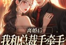 小说《离婚后，我和总裁手牵手虐哭前夫》在线章节阅读-够力荐小说推荐网
