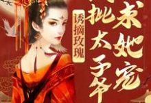 诱摘玫瑰,疯批太子爷求她宠傅晏晞谢时语小说在线章节目录阅读最新章节-够力荐小说推荐网