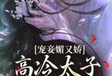 已完结小说《宠妾媚又娇，高冷太子为她失了魂》章节在线阅读-够力荐小说推荐网