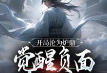 完结版《开局沦为炉鼎，觉醒负面逆转系统》免费阅读-够力荐小说推荐网