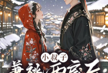 小说《小叔子兼祧两房后，嫂嫂她逃了》章节阅读-够力荐小说推荐网