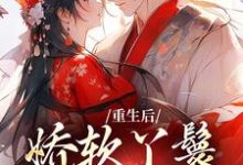 重生后，娇软丫鬟被雄竞了小说全文阅读需要付费吗？寻找免费资源-够力荐小说推荐网