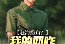 赶海捞鱼?我的网咋都是塑料袋免费阅读,赶海捞鱼?我的网咋都是塑料袋周辉-够力荐小说推荐网