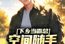 完整版的下乡当霸总,空间随手一套就有货小说在哪里可以免费读到?-够力荐小说推荐网