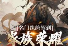 完结版《名门纨绔驾到，家族荣耀我来续》章节目录在线阅读-够力荐小说推荐网