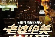 小说《重生到87年，老婆绝美女儿萌》章节阅读-够力荐小说推荐网