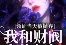 领证当天被抛弃，我和财阀大佬闪婚这本小说怎么样？免费在线阅读试试-够力荐小说推荐网