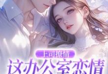 上司撩情,这办公室恋情我谈定了免费阅读,上司撩情,这办公室恋情我谈定了章节在线阅读-够力荐小说推荐网