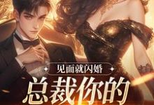 蓄谋已久，我被京圈太子强娶了林淼傅砚舟小说大结局免费试读-够力荐小说推荐网