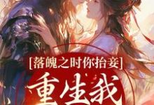 落魄之时你抬妾,重生我拒婚渣男小说全文阅读需要付费吗?寻找免费资源-够力荐小说推荐网