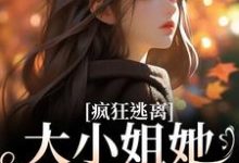 疯狂逃离!大小姐她不做备选(沈京瓷霍骁)在线免费阅读-够力荐小说推荐网