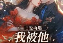 求旧爱再遇,我被他钉在表白墙小说的全文免费阅读链接-够力荐小说推荐网