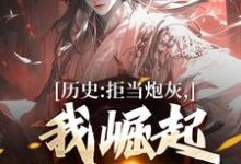 历史：拒当炮灰，我崛起收复河山小说有没有完结版在线？-够力荐小说推荐网