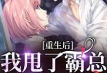 宁秋棠江晟小说《重生后，我甩了霸总享单身夜》在线阅读-够力荐小说推荐网