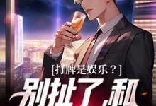 高林赵桂菊小说在线章节免费阅读（打牌是娱乐？别扯了，和打仗差不多无弹窗无删减）-够力荐小说推荐网