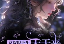 小说《总裁很上头，天天来直播间守护我》章节免费阅读-够力荐小说推荐网