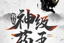 我是神级药王小说的无弹窗阅读体验,寻找免费阅读网站-够力荐小说推荐网