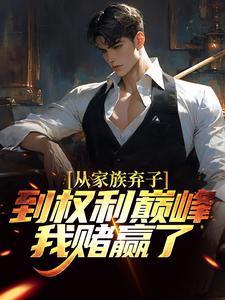 从家族弃子到权利巅峰，我赌赢了免费阅读，从家族弃子到权利巅峰，我赌赢了章节在线阅读