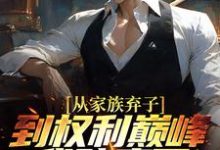 李南征隋君瑶小说《从家族弃子到权利巅峰,我赌赢了》在线阅读-够力荐小说推荐网