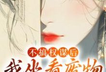 不搞权谋后，我坐看废物儿女作死姜明珠小说免费阅读-够力荐小说推荐网