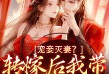 完结版《宠妾灭妻？转嫁后我带皇子夺王位》章节阅读-够力荐小说推荐网