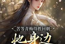 小说《苦等青梅得胜回朝，她身边已配良人》章节阅读-够力荐小说推荐网