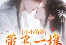 完结版《小小萌娃，带飞一堆隐世大能》在线免费阅读-够力荐小说推荐网