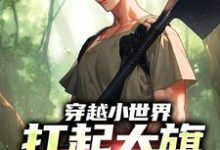 小说《穿越小世界,扛起大旗就是干》在线章节阅读-够力荐小说推荐网