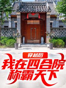 穿越后，我在四合院称霸天下何雨柱，穿越后，我在四合院称霸天下在线无弹窗阅读