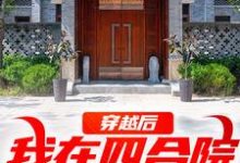 穿越后,我在四合院称霸天下小说,穿越后,我在四合院称霸天下免费阅读-够力荐小说推荐网