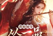 黄袍加身，从一品侯爵开始卫小宝韦小宝，黄袍加身，从一品侯爵开始章节在线阅读-够力荐小说推荐网