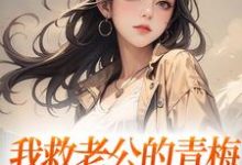 陆子恒盛肖苒小说我救老公的青梅，却反被她诬陷在线阅读章节-够力荐小说推荐网